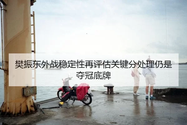 樊振东外战稳定性再评估关键分处理仍是夺冠底牌