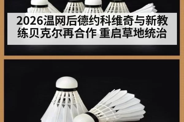 2026温网后德约科维奇与新教练贝克尔再合作 重启草地统治