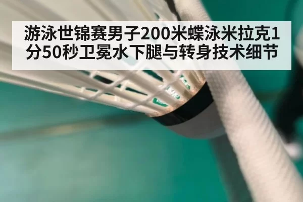 游泳世锦赛男子200米蝶泳米拉克1分50秒卫冕水下腿与转身技术细节