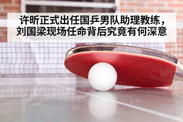 许昕正式出任国乒男队助理教练,刘国梁现场任命背后究竟有何深意