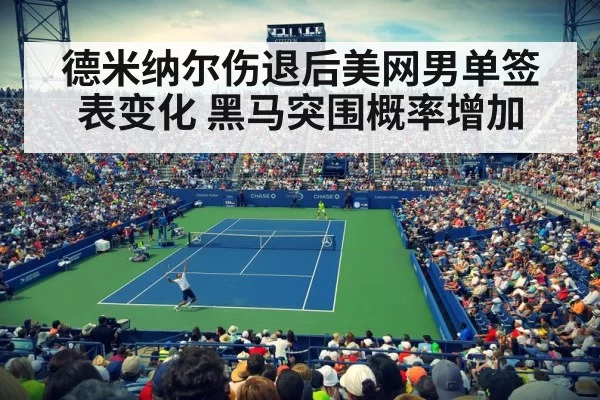德米纳尔伤退后美网男单签表变化 黑马突围概率增加