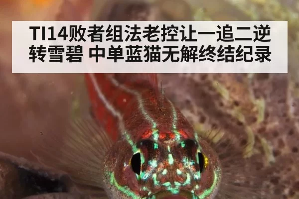 TI14败者组法老控让一追二逆转雪碧 中单蓝猫无解终结纪录